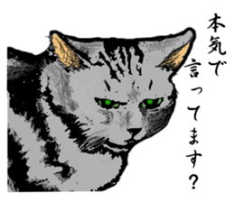 Real cat Series 2 sticker #6032243