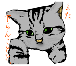 Real cat Series 2 sticker #6032244