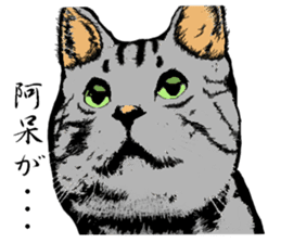 Real cat Series 2 sticker #6032245