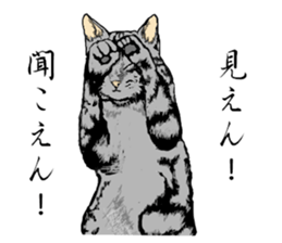 Real cat Series 2 sticker #6032246