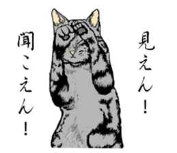 Real cat Series 2 sticker #6032246