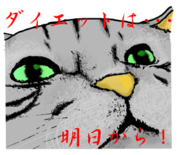 Real cat Series 2 sticker #6032248