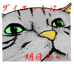 Real cat Series 2 sticker #6032248
