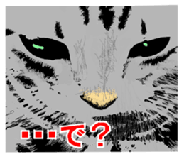 Real cat Series 2 sticker #6032249