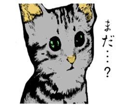 Real cat Series 2 sticker #6032250