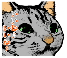 Real cat Series 2 sticker #6032251