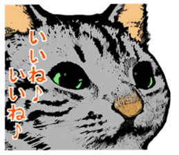 Real cat Series 2 sticker #6032251