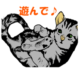 Real cat Series 2 sticker #6032252