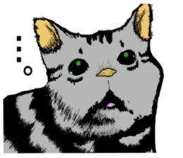 Real cat Series 2 sticker #6032253