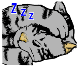 Real cat Series 2 sticker #6032254