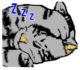 Real cat Series 2 sticker #6032254