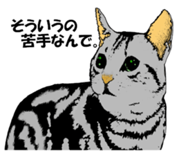 Real cat Series 2 sticker #6032255