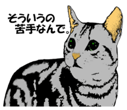Real cat Series 2 sticker #6032255