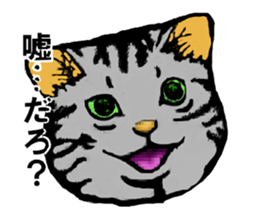 Real cat Series 2 sticker #6032257