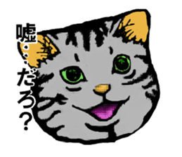 Real cat Series 2 sticker #6032257