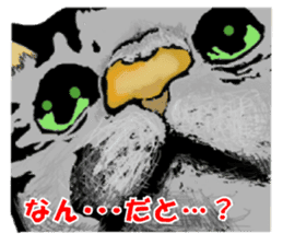 Real cat Series 2 sticker #6032258