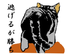 Real cat Series 2 sticker #6032259