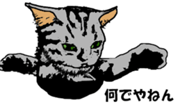 Real cat Series 2 sticker #6032260