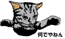 Real cat Series 2 sticker #6032260