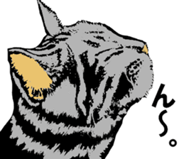 Real cat Series 2 sticker #6032261