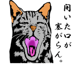 Real cat Series 2 sticker #6032262