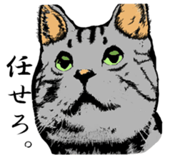 Real cat Series 2 sticker #6032263