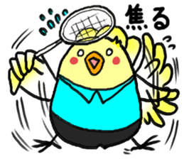 Birds and badminton sticker #6032913