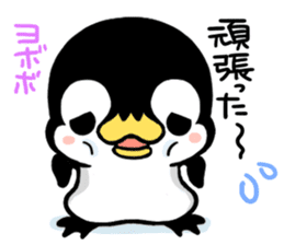 Daily conversation of penguins sticker #6033323