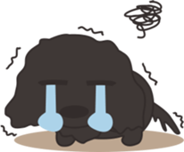 Dachshund TANG & BAO sticker #6034347