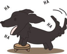Dachshund TANG & BAO sticker #6034356