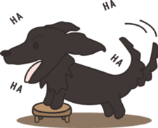 Dachshund TANG & BAO sticker #6034356