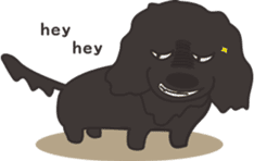 Dachshund TANG & BAO sticker #6034367