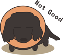 Dachshund TANG & BAO sticker #6034374
