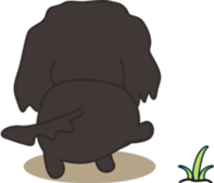 Dachshund TANG & BAO sticker #6034378