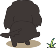 Dachshund TANG & BAO sticker #6034378