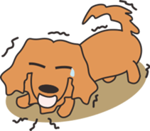 Dachshund TANG & BAO sticker #6034381