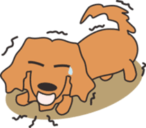 Dachshund TANG & BAO sticker #6034381