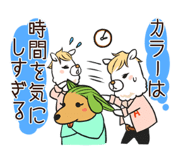 Alpaca of Aku volume hairdresser sticker #6034800