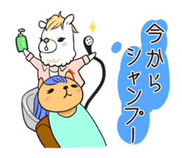 Alpaca of Aku volume hairdresser sticker #6034821