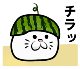 Summer vacation of cat sticker #6043032