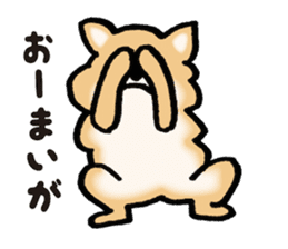 Brown fluffy dog sticker #6043696