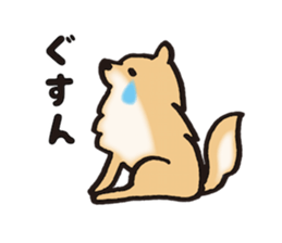 Brown fluffy dog sticker #6043697