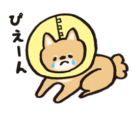 Brown fluffy dog sticker #6043698