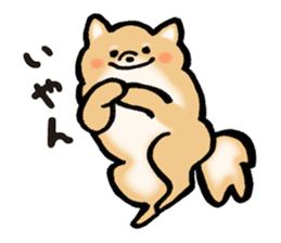 Brown fluffy dog sticker #6043706