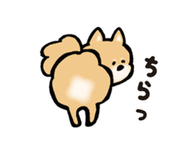 Brown fluffy dog sticker #6043709