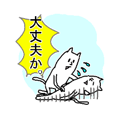 They are like a cat.2