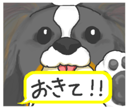 Pretty Papillon 2 sticker #6045202