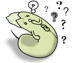 The interesting fruits sticker #6046432