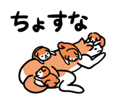 Akita dialects Sticker of AkitaInu sticker #6047159