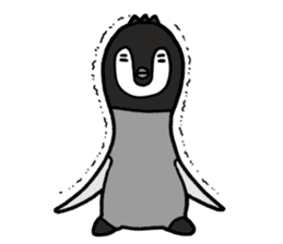 Emperor penguins Pecco sticker #6048236